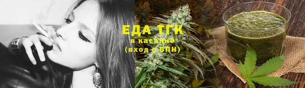 гашик Осташков
