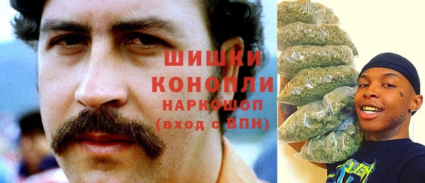 гашик Осташков