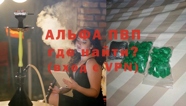 гашик Осташков