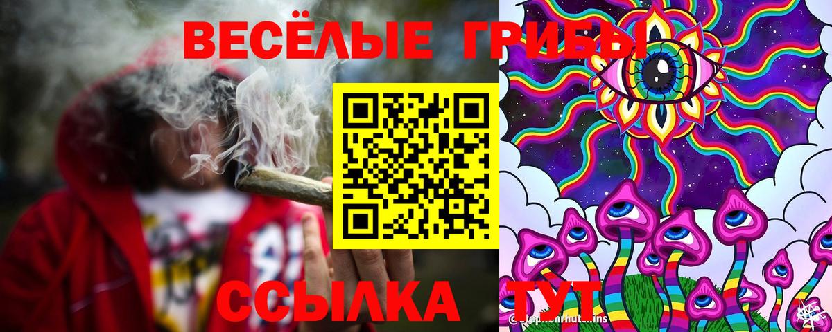 Псилоцибиновые грибы Cubensis Бахчисарай