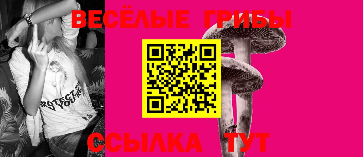 Галлюциногенные грибы Cubensis  Бахчисарай  Псилоцибиновые грибы мухоморы 