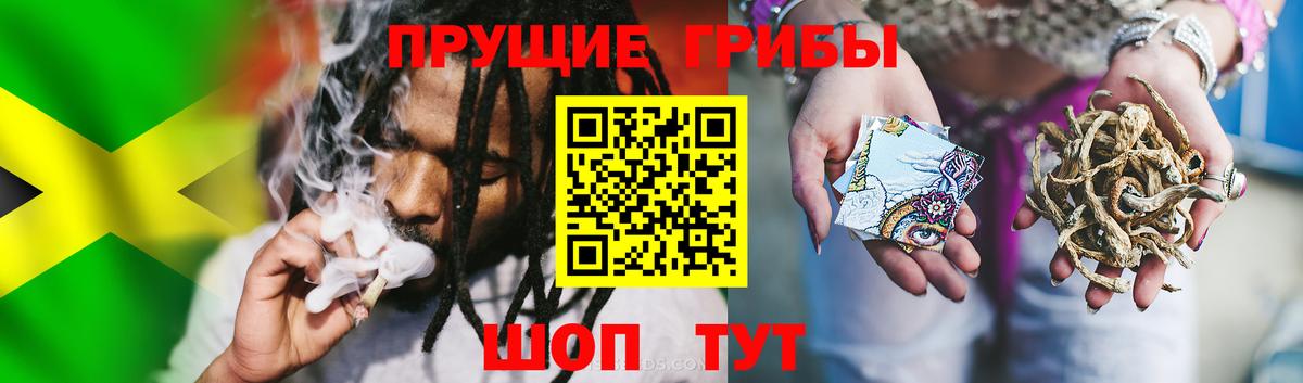 Псилоцибиновые грибы прущие грибы Бахчисарай
